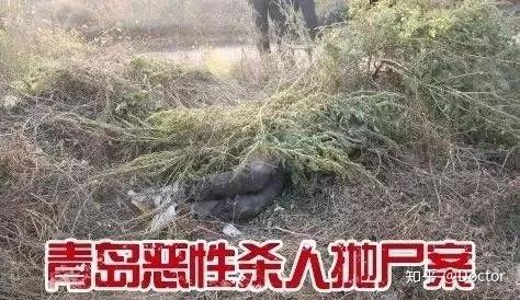 大案纪实91年青岛恶性杀人抛尸案