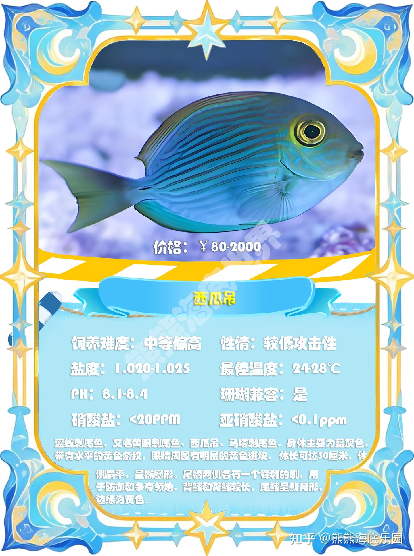 吊类鱼合集(中)刺尾鱼属 - 知乎