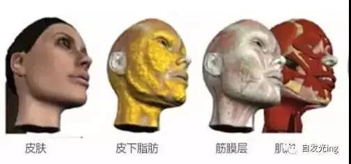 面部肌肤抗衰：留住青春的秘密武器