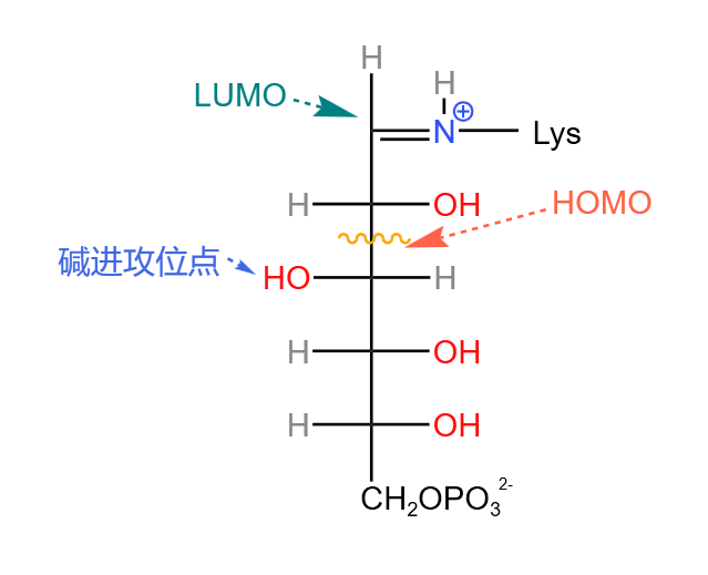 Lehninger生物化学学习笔记 第十四章 糖酵解、糖异生与磷酸戊糖途径(1) - 知乎