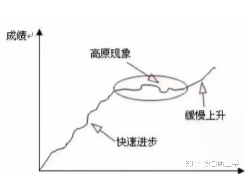 上学后真正拉开孩子之间差距的到底是什么