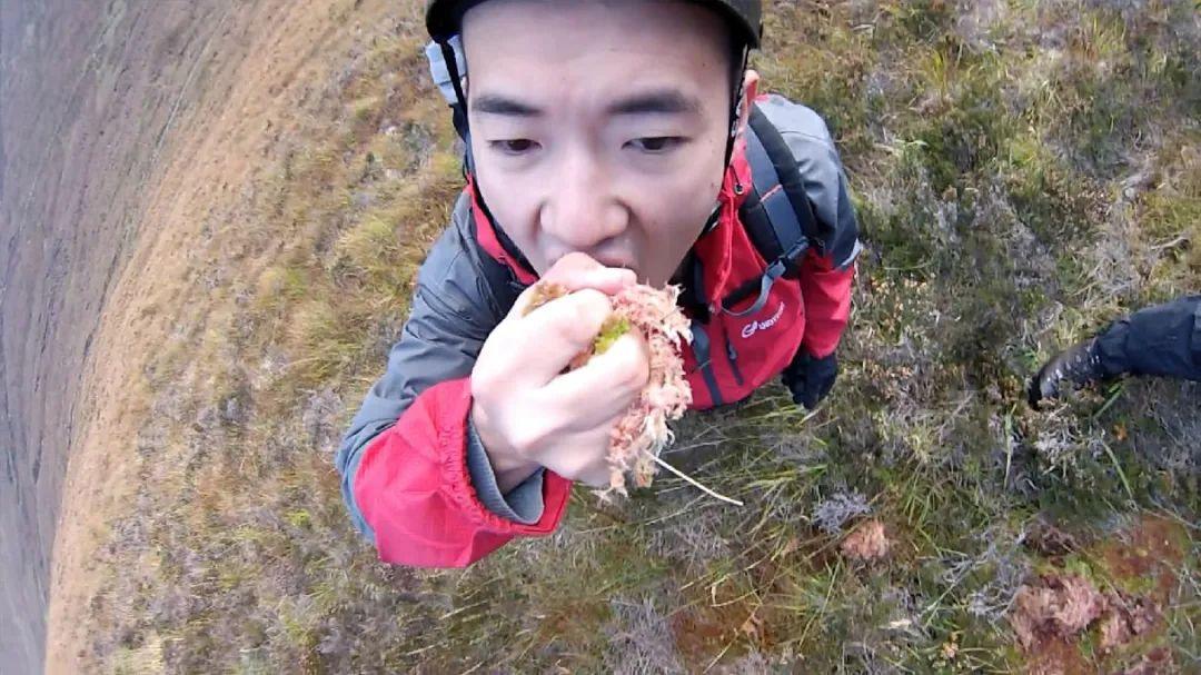 中国贝爷朱炜强我的野外食谱里虫子是配菜