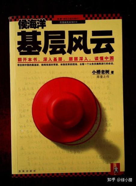 读小桥老树《侯海洋基层风云》有感