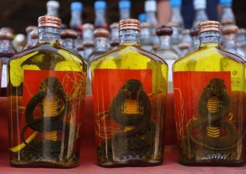 泡酒用什么酒好