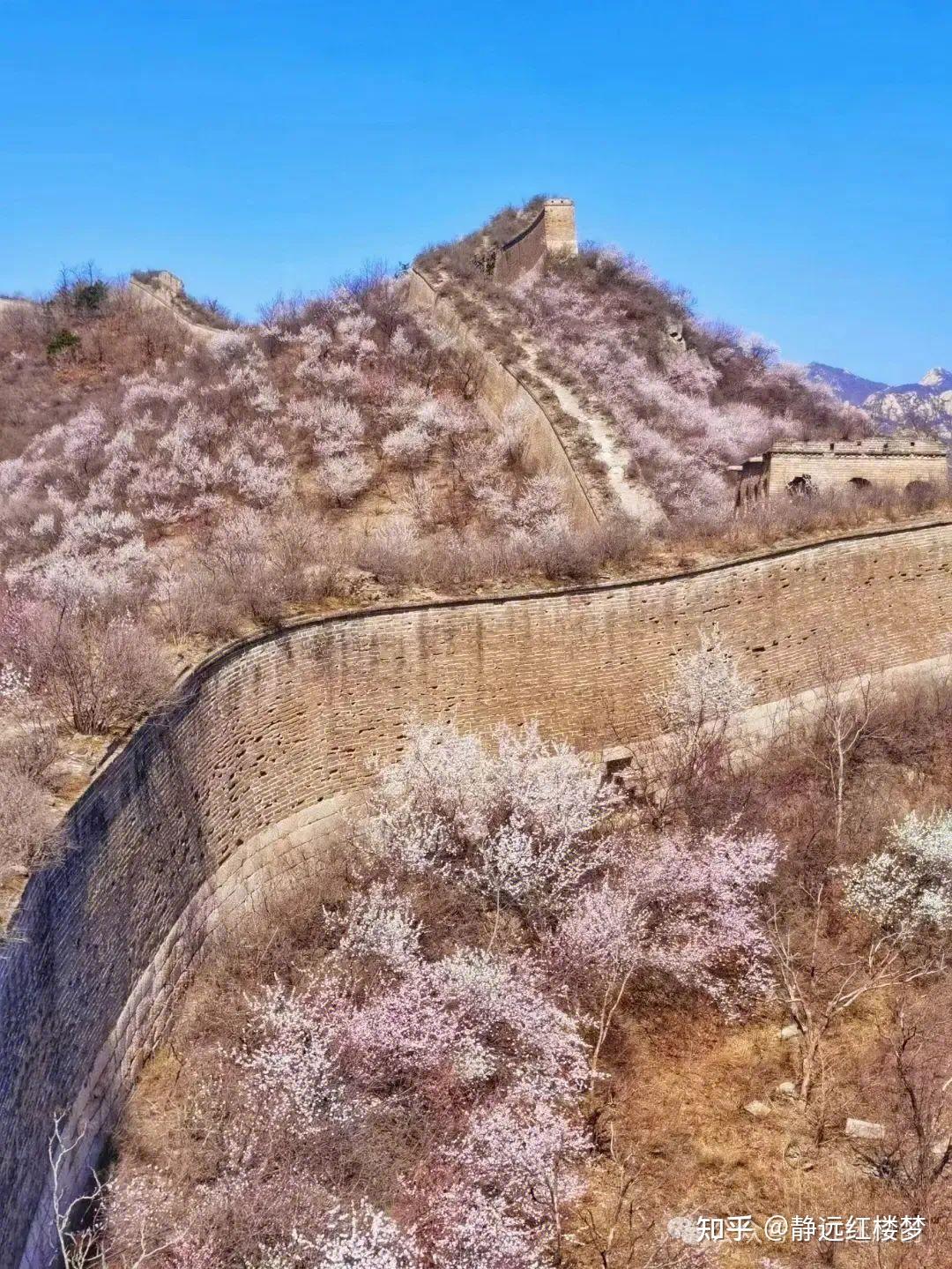 《长城国家文化公园向桃花诉说》 作词:申卫东
