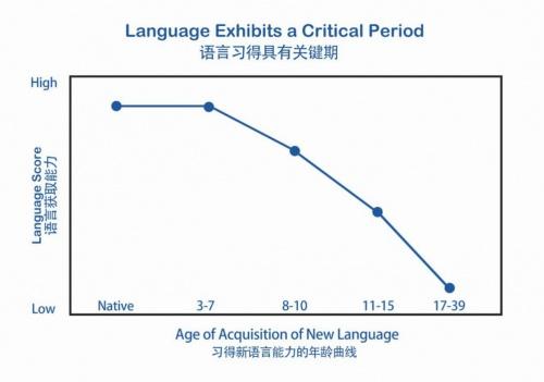 抓住语言黄金期,英语启蒙