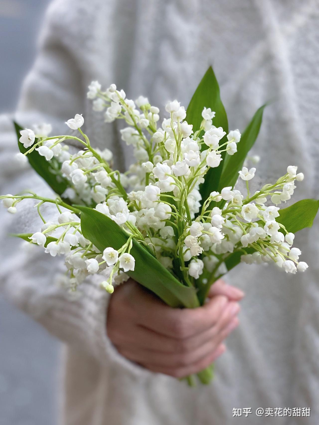 昂贵而可爱的小铃铛铃兰