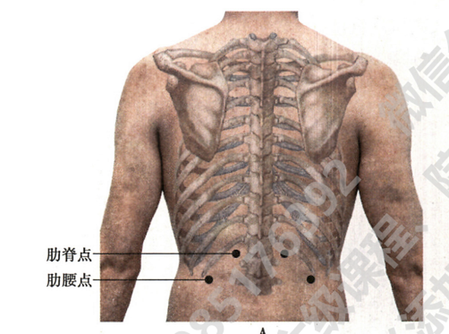 二,叩击手法:让患者取坐位,然后我们触诊找到"肋脊角"的位置,也就是