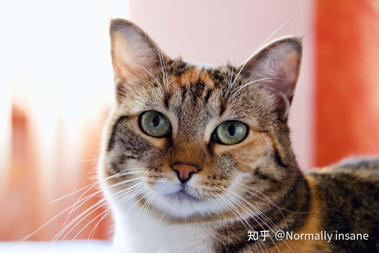 091599 098433 5999. 本末倒置.