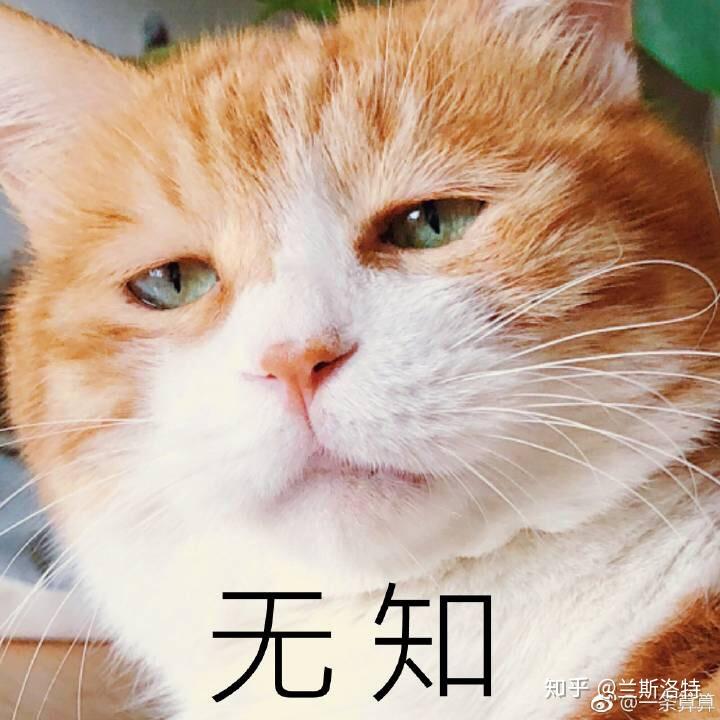 v2-a93a867b1f2420f8c34c15d25ed9df0f_r.jpg