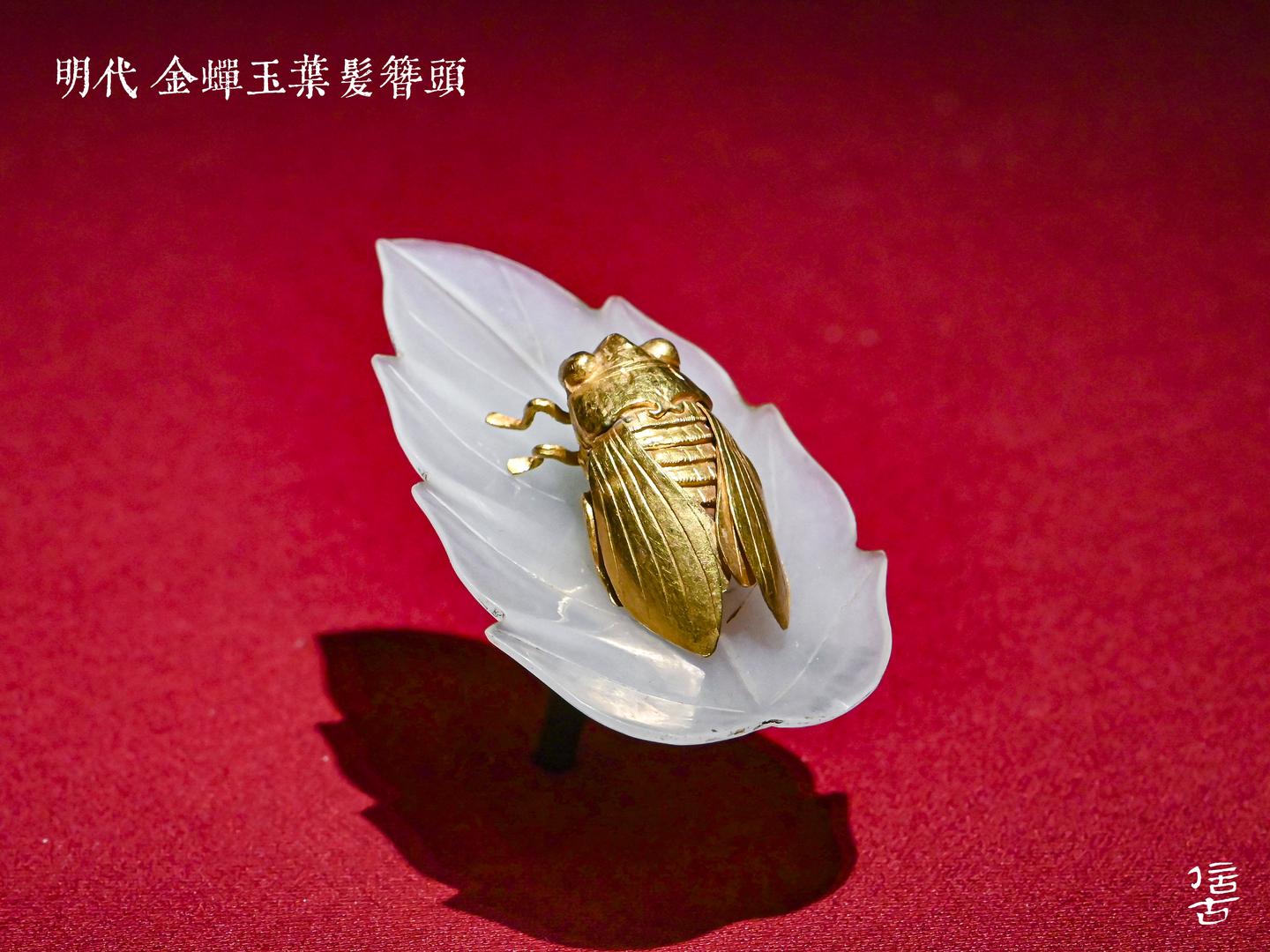 镶玉金蝉，嵌宝蜘蛛——明代女性鬓角的“动物世界” - 知乎