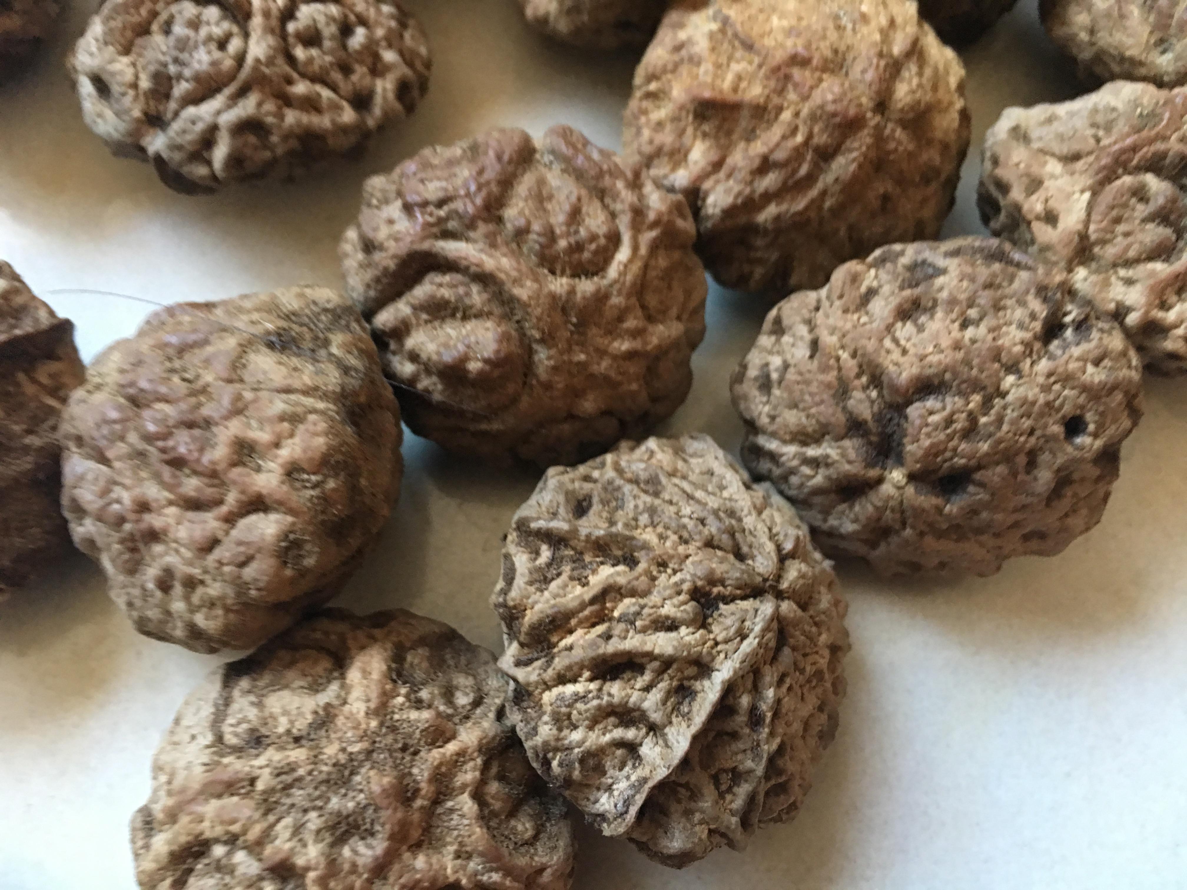 鬼脸菩提绝对是最难清理的果核类文玩儿,没有之一 - 知乎