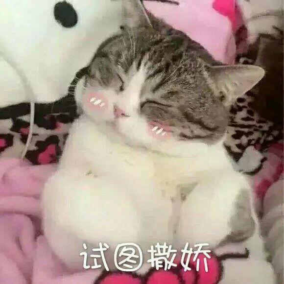 高中文科生需要注意什么? - 高中学习