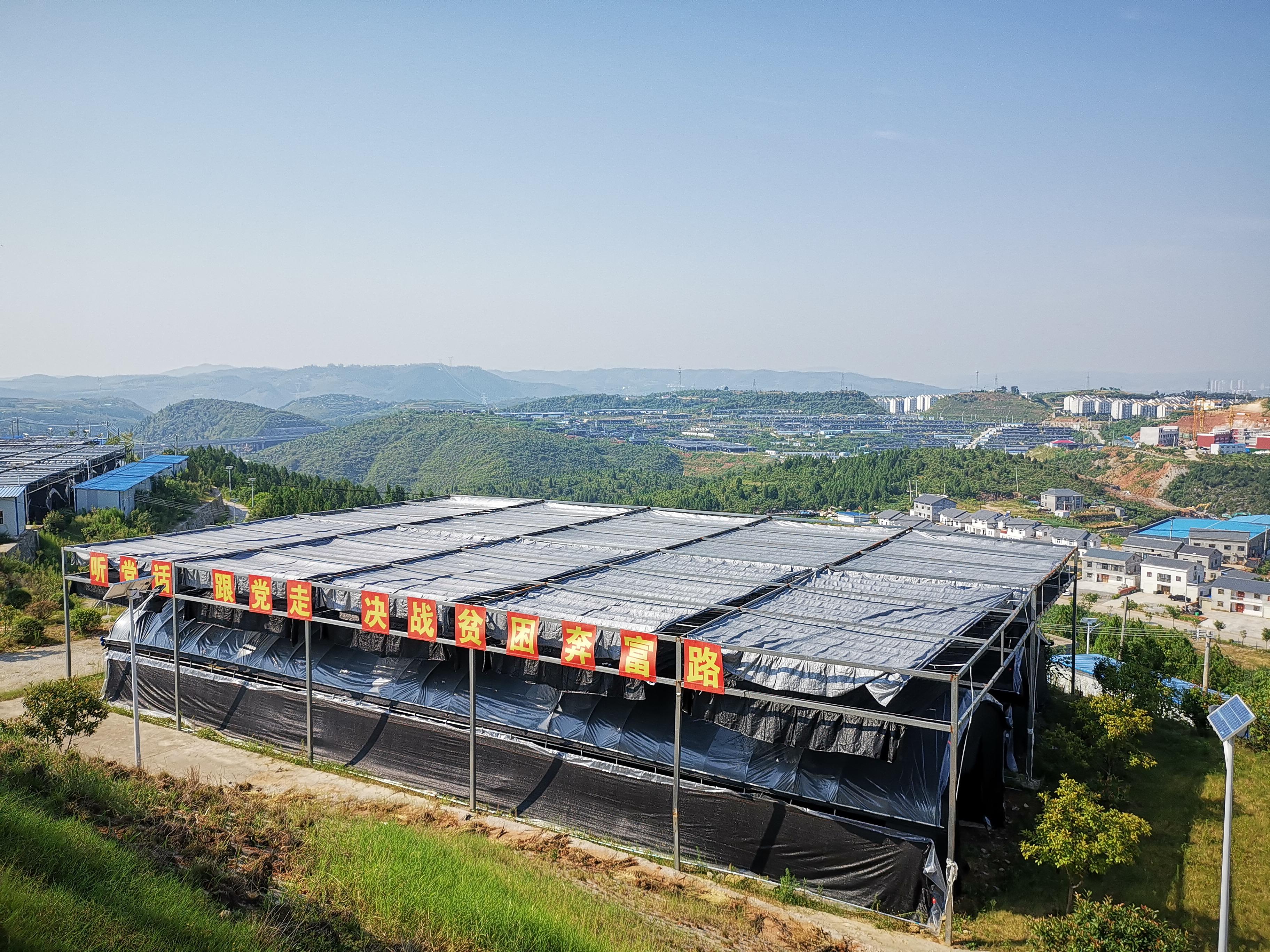 湖北郧阳香菇小镇托起扶贫大产业