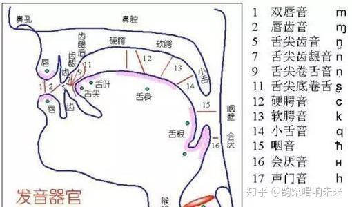  怎么唱歌好听简单的技巧学会这些就够了 - 知乎 Illustration 