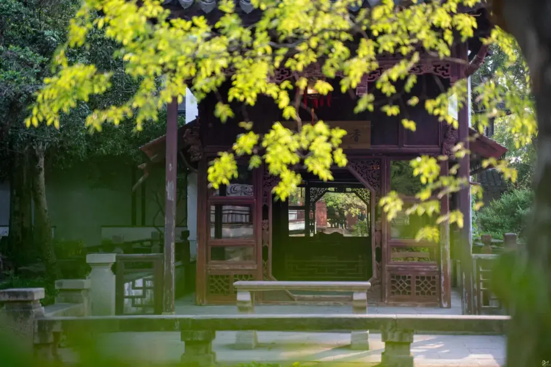 苏州园林一景 | 图苏州是"百园之城",园林是古城的名片,紫芝园的回归