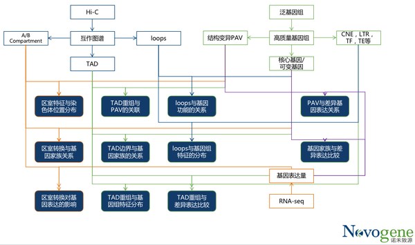 远距离互作研究利器：Hi-C泛三维基因组 - 知乎