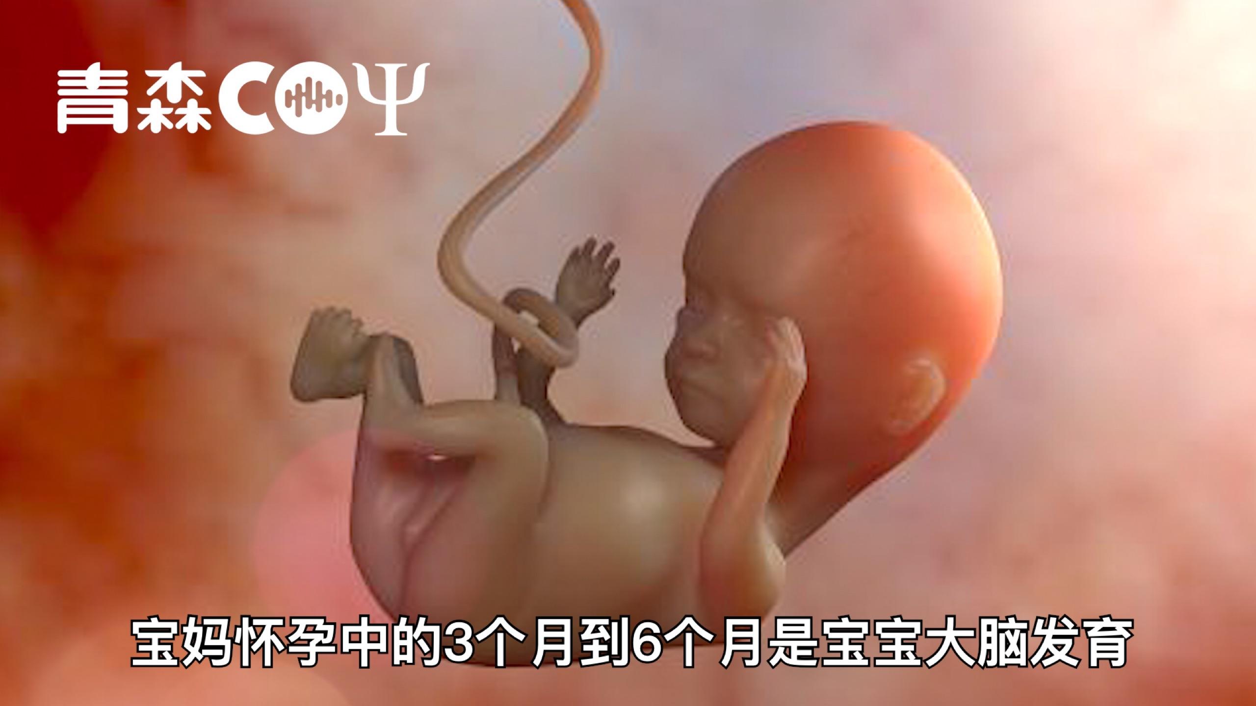 简直不可思议,居然宝宝在子宫里就可能有了自我意识!