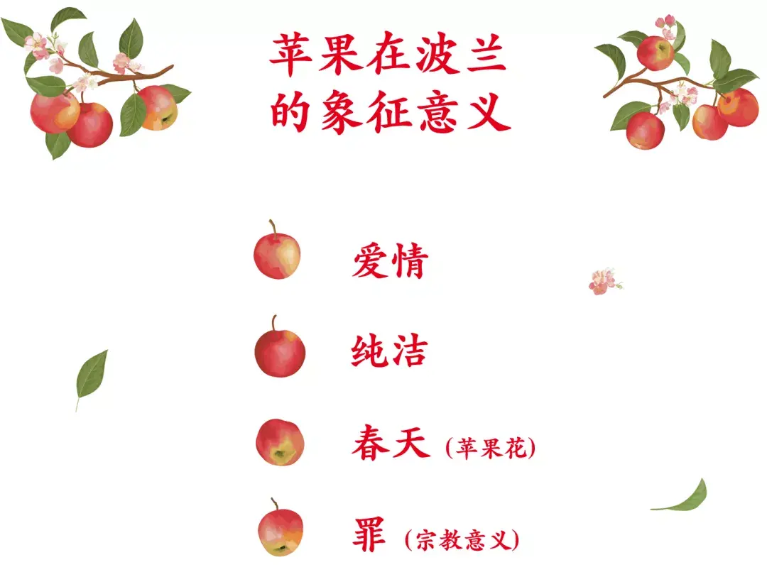 苹果，波兰之魂- 知乎