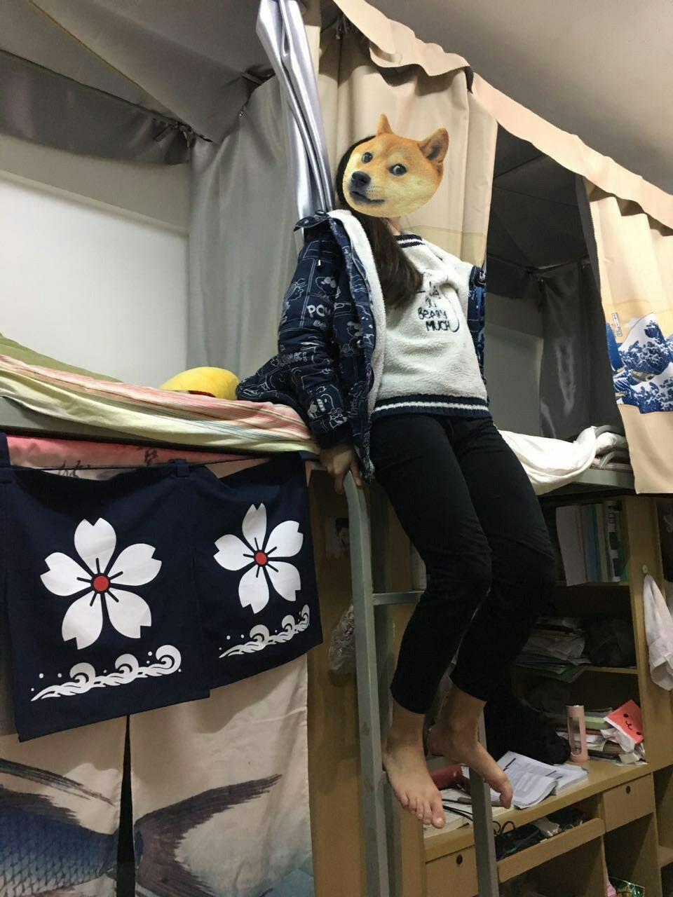 v2-a99321672f6ca504d167a22ef3761f32_r.jpg
