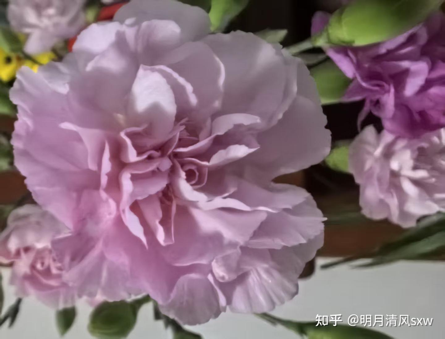 《颜氏家训》15:真正的教养,是在情感与理性的调和中把握分寸 - 知乎