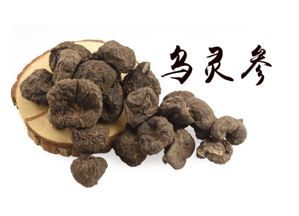 乌灵参：大自然的神奇药物，了解其七大药用价值！ - 知乎