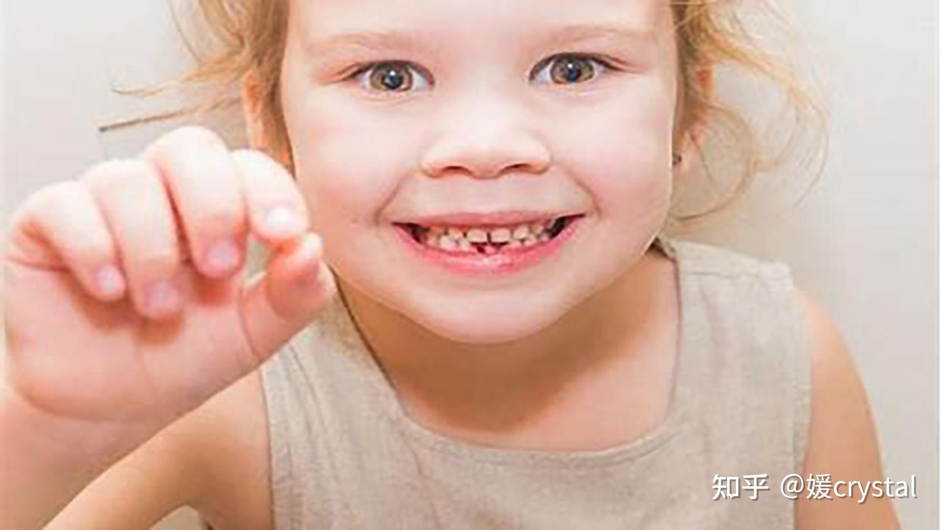恒牙乳牙的替换规律图换牙顺序表（乳牙换恒牙，最早始于5岁） | 说明书网