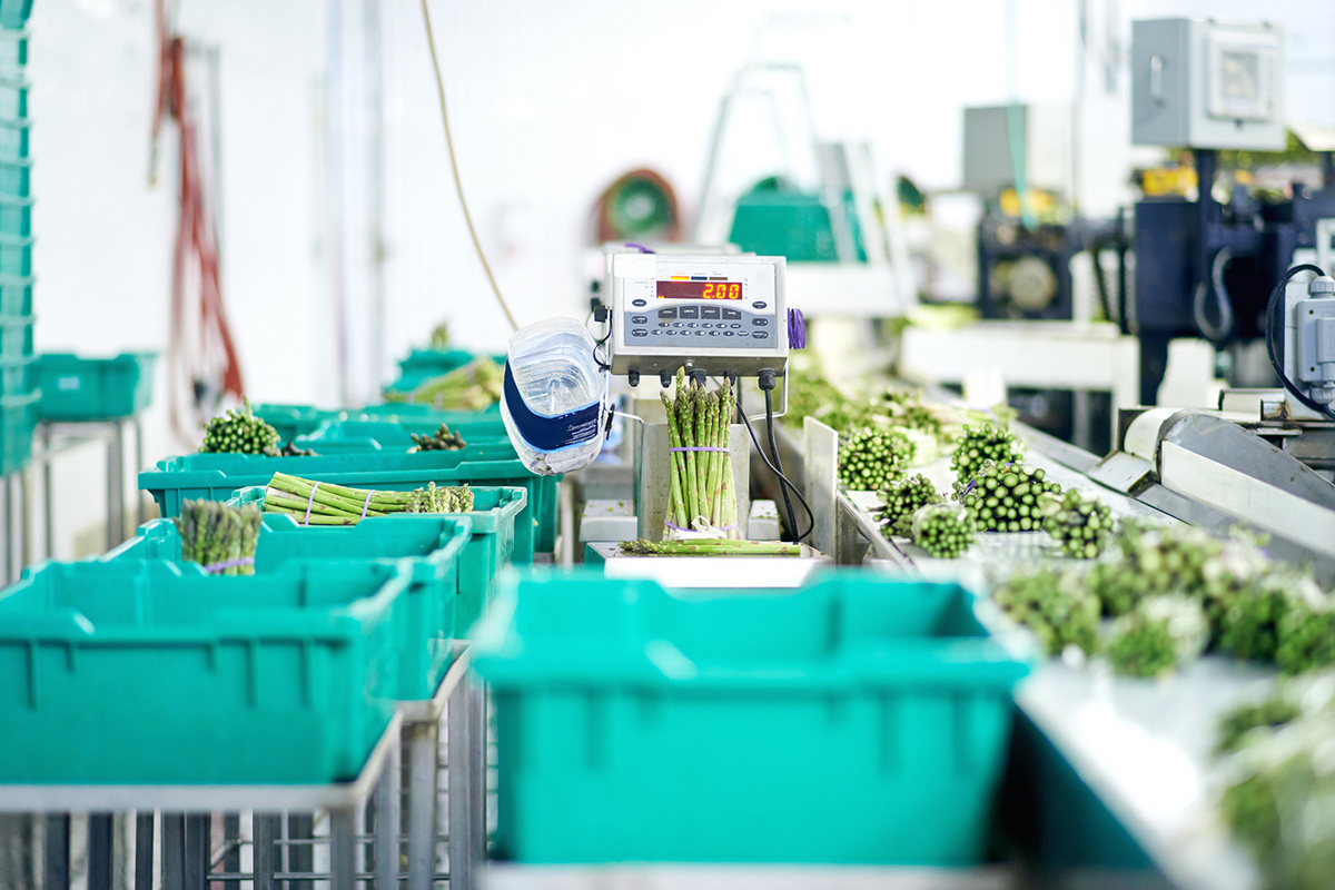 德承ds-1102 智能分拣系统的自动化应用 智慧农业 智慧物流 - 知乎