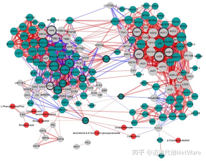 相关性网络图 | 解密转录组+代谢组的高频图 - 知乎