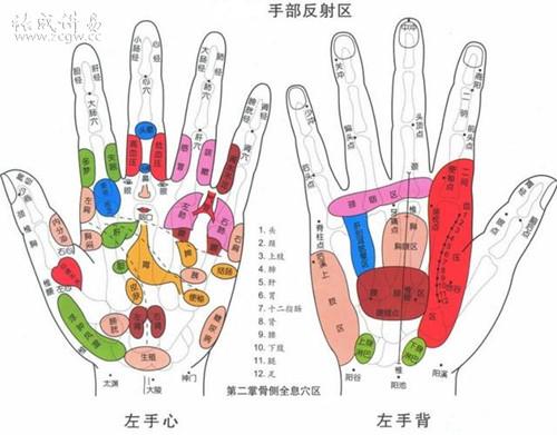 如合谷穴,少商穴,鱼际穴等,不同的穴位对应不同的身体器官,经常摩擦