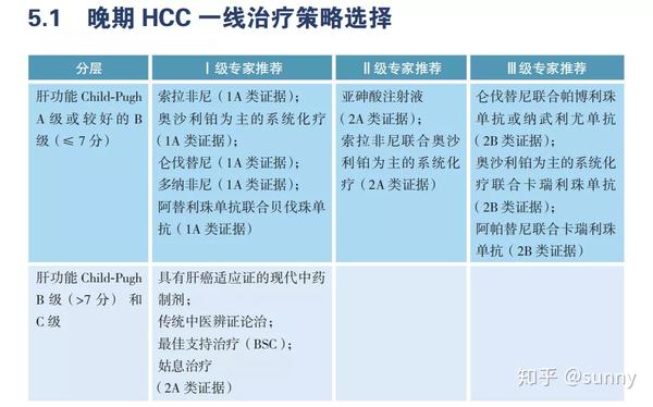 2020 Csco肝癌指南肝癌免疫治疗时代 知乎 4769