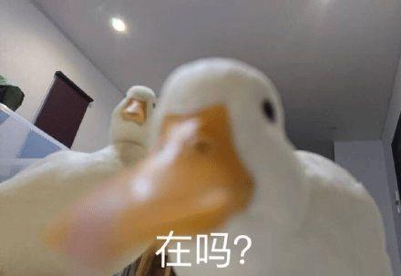 我终于知道,那些微信里爱问「在吗」的人是怎么想的了 - 知乎