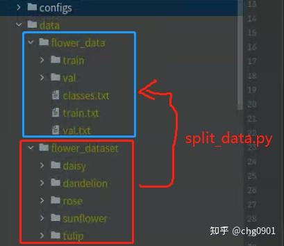 MMClassification with flower dataset 【OpenMMLab 实战营Basic Assignment1 】 - 知乎