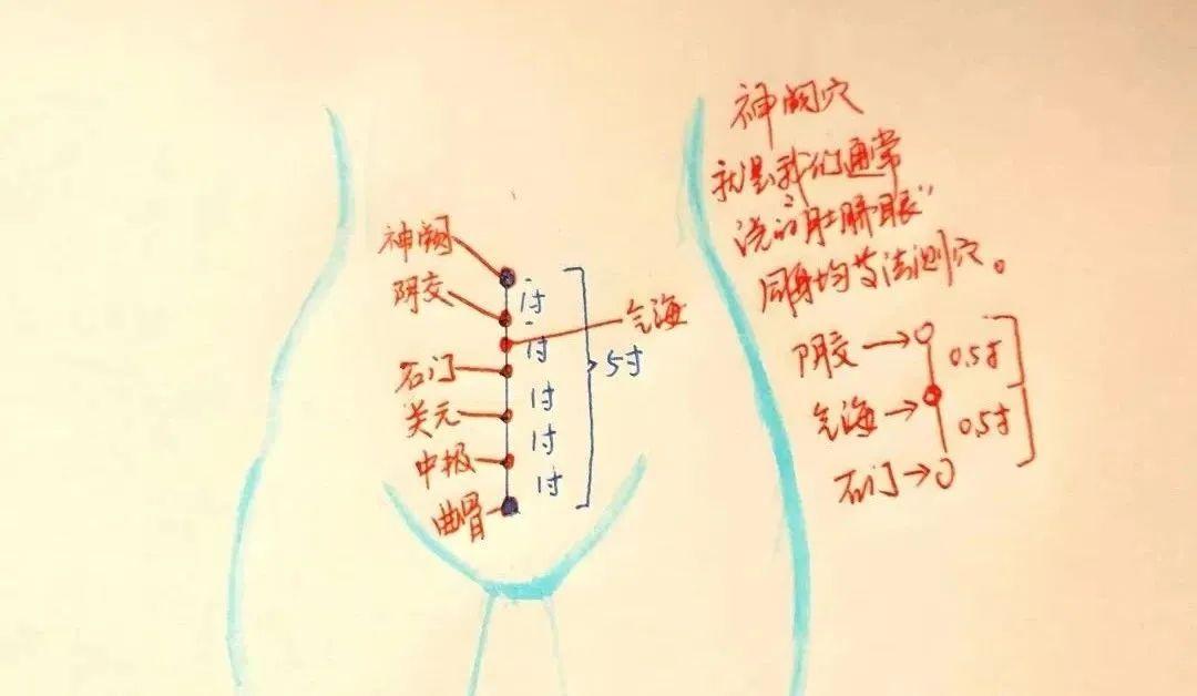 中医| 针灸:任脉简介及任脉的8个穴位 - 知乎