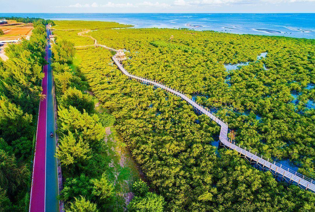 广西冬季旅游景点推荐金海湾红树林旅游攻略低音号免费语音导游