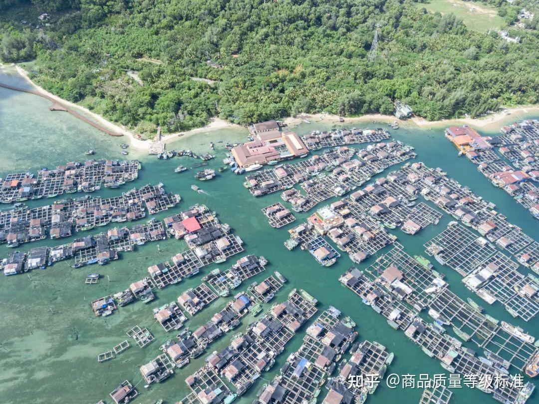 去海南陵水旅游吃什么美食｜海南陵水所有美食一篇看完｜陵水本地人一天都吃什么 - 知乎