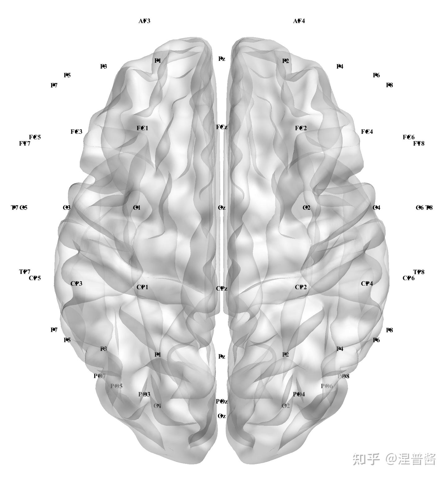 Brainnet Test Images 使用BrainNet Viewer对64导EEG进行功能连接可视化 - 知乎