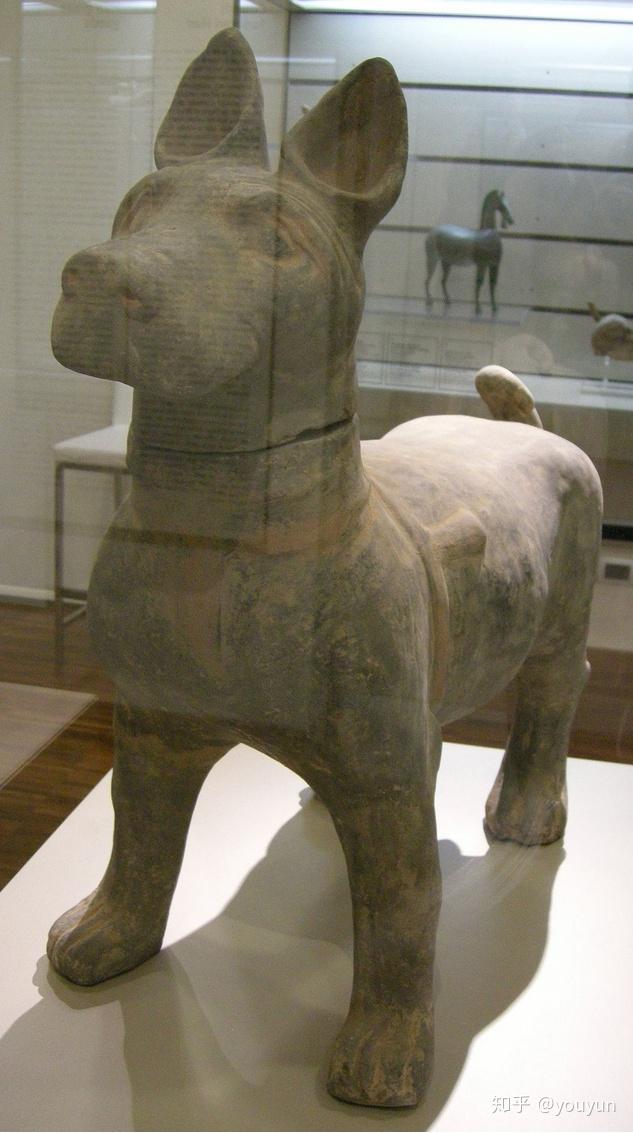 东汉原生松狮犬陶塑