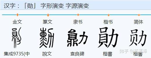 然而,我认为,参考「力」的相关甲骨文,其构形更可能是人的臂膀:其相关