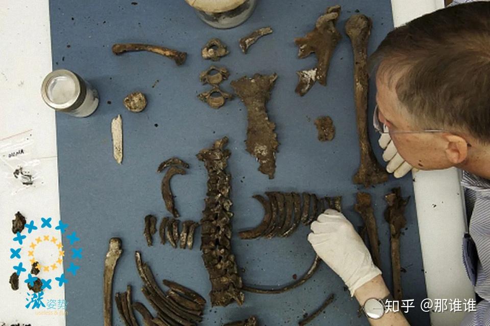 2010年考古学家研究第谷的遗骸这种说法起始于1901年第谷300周年忌日