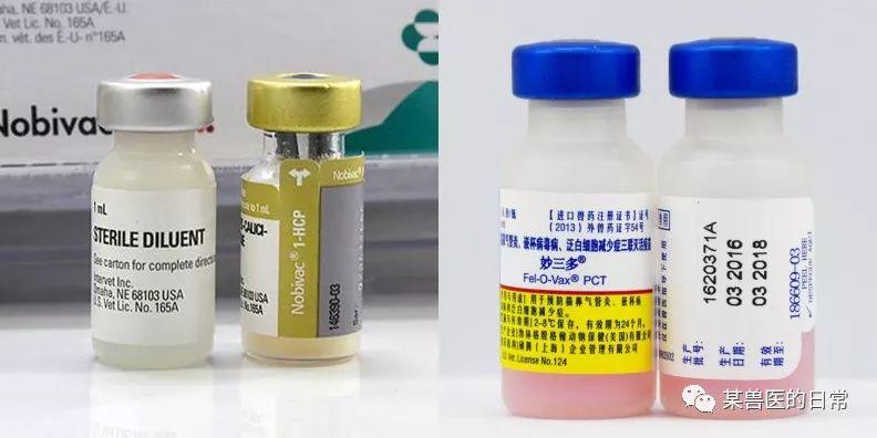常见犬进口疫苗:英特威四联,英特威六联,硕腾卫佳伍,硕腾卫佳捌每一针