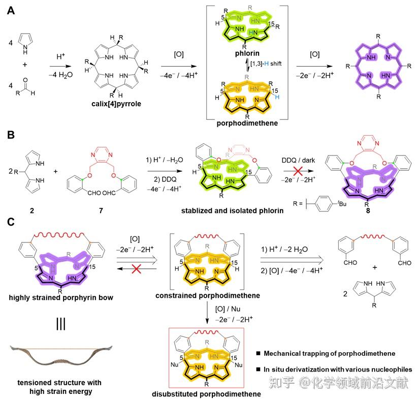 西湖大学刘志常团队Materials Today Chemistry：利用分子张力工程精确调控化学反应路径的选择性——选择性机械捕获