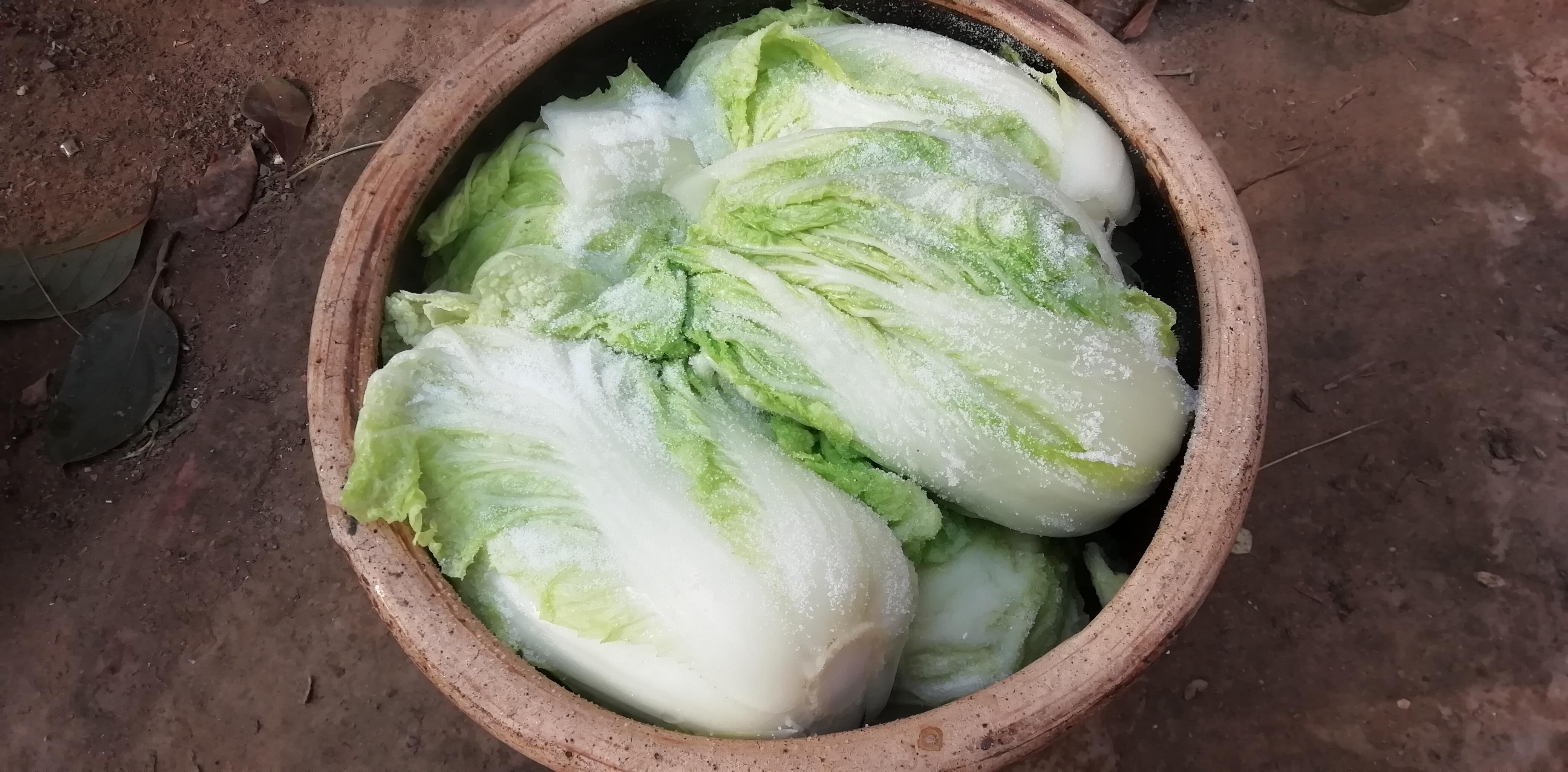 东北农村这个季节开始腌酸菜了,看似简单可腌不好就烂,看下过程