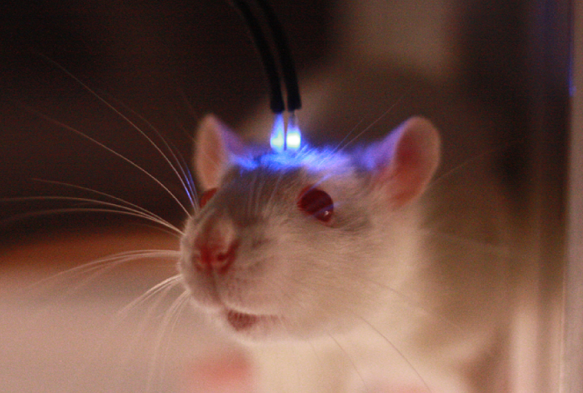 德云社烧饼妻子晒全家福三代同框脸型复制粘贴网友调侃基因太强大(图1)