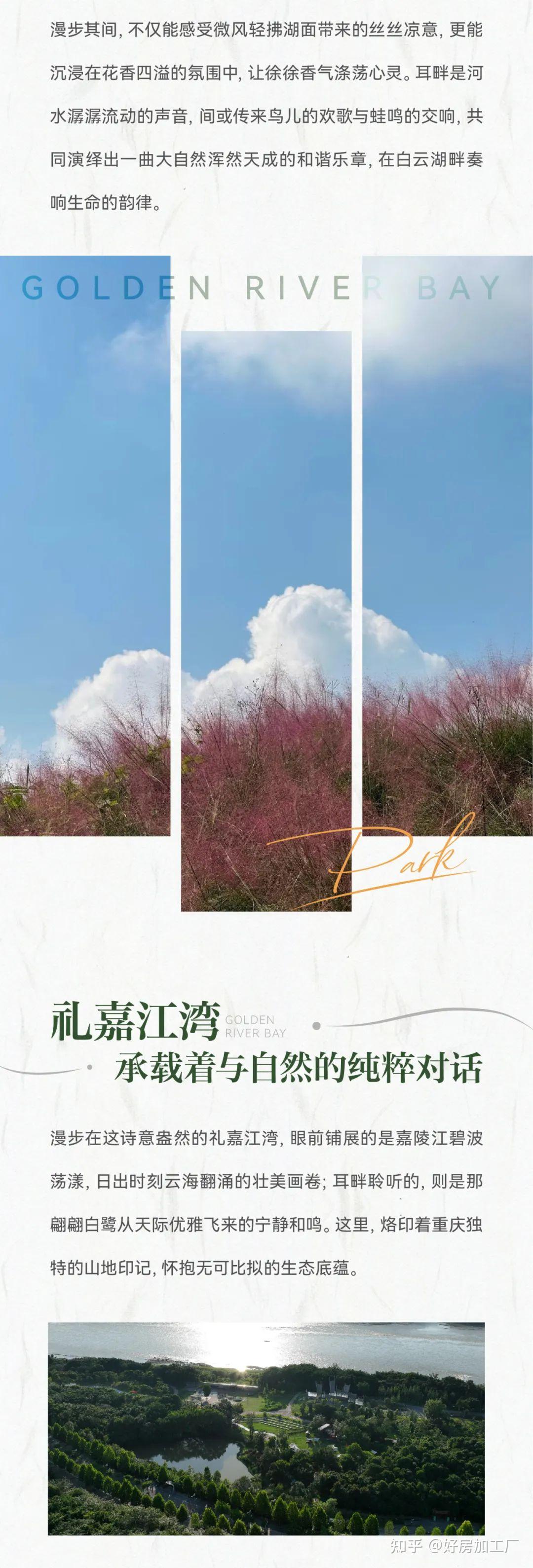 在不太冷的新年,用感官翻阅自然之书 - 知乎