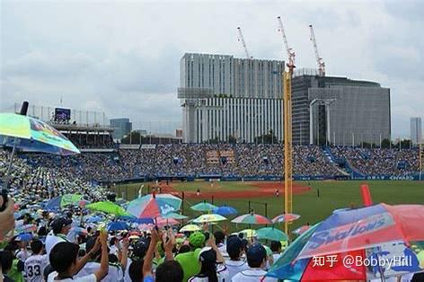 养乐多的突围 知乎 养乐多的突围 知乎