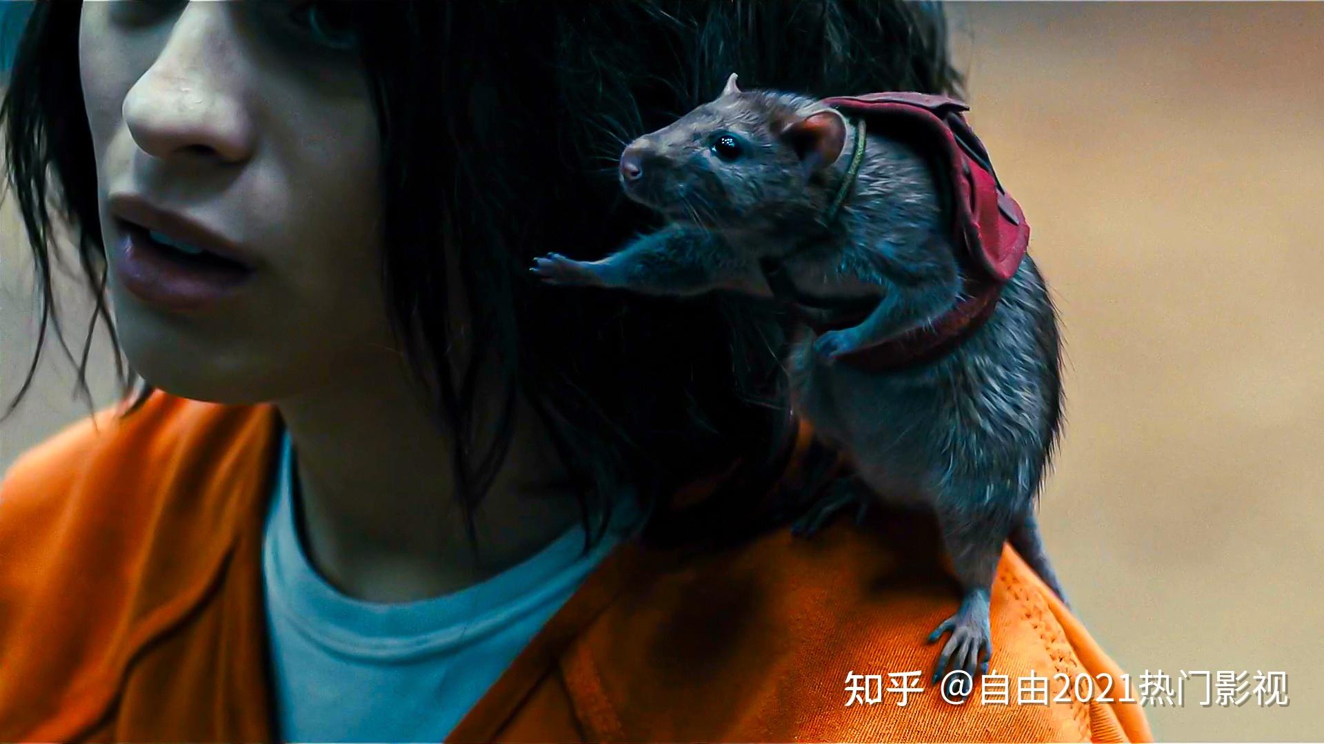 盘点x特遣队成员的能力及背景资料二代捕鼠者召唤老鼠击败海星斯塔罗