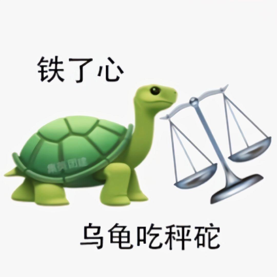 乌龟吃秤砣 -- 铁了心11,王八掉眼泪 -- 你鳖伤心10,老母鸡上房顶