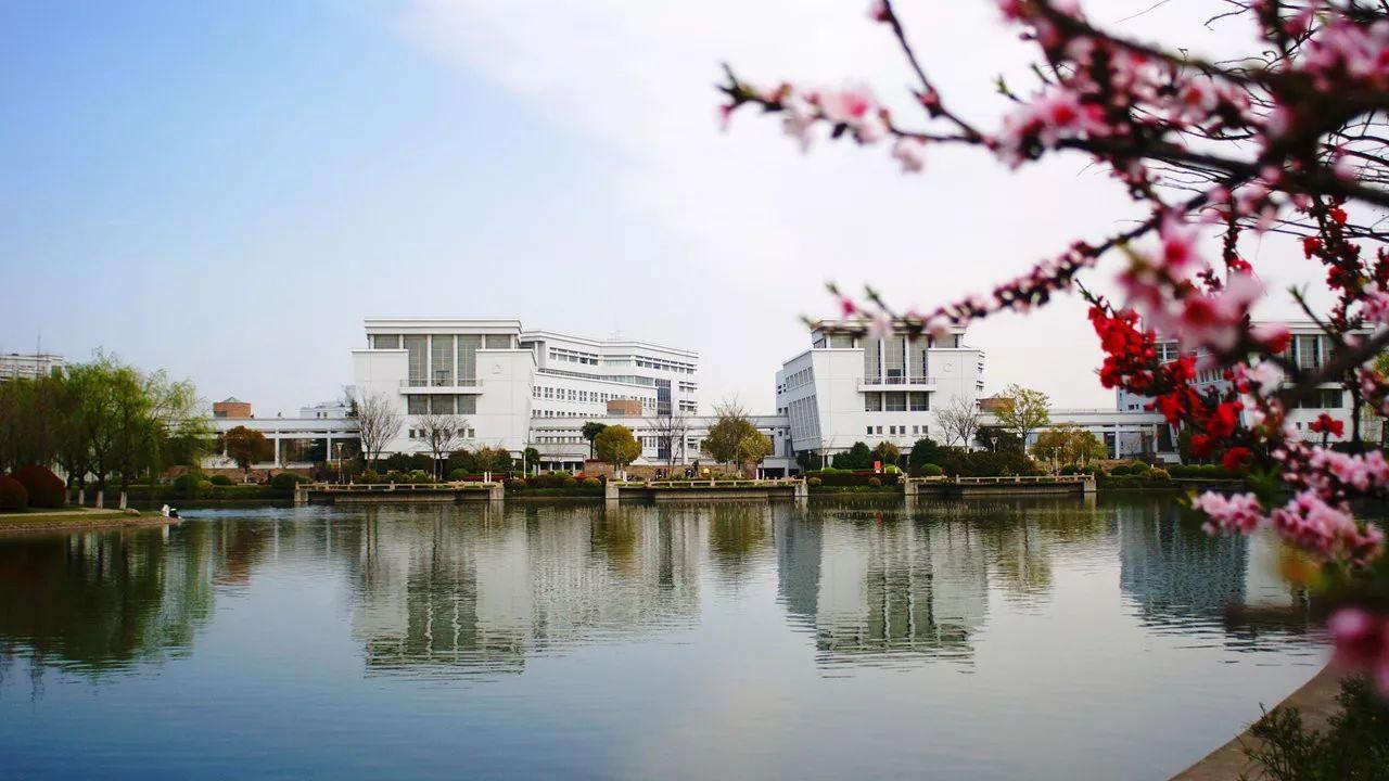 上海大学考研难度考研分数线考研报录比及考研真题资料分享