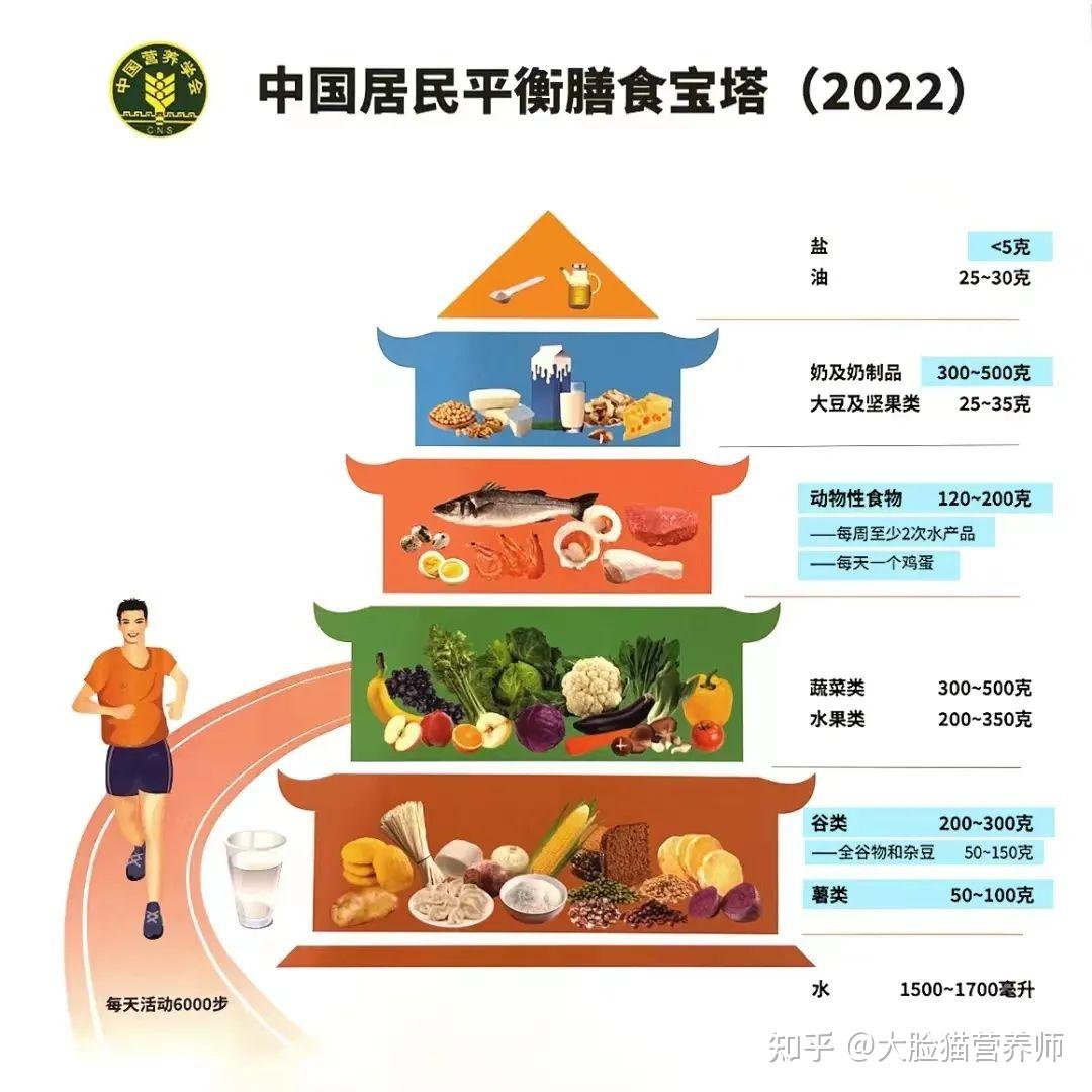分享1套食物分量图，让你秒懂每天该吃多少食物 - 知乎